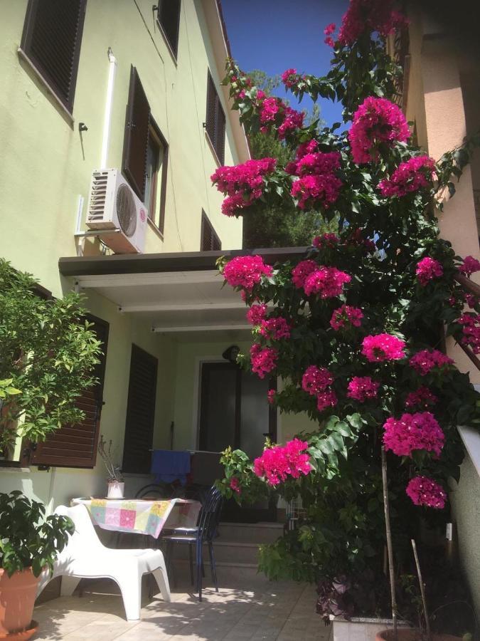 Greenhouse Family Apartments Rabac Εξωτερικό φωτογραφία